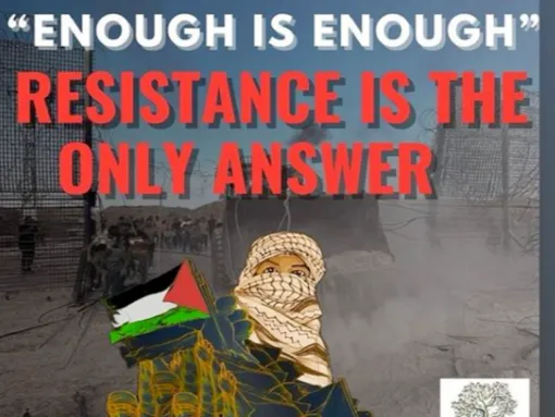 Anti-Israel Activists Celebrate Hamas Attack