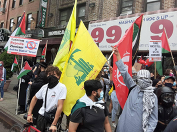 Anti-Israel Activists
