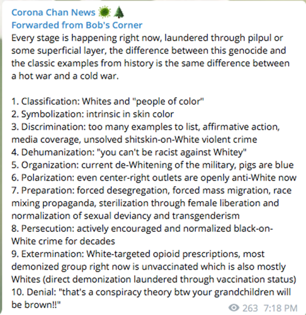 White supremacists continue to promote the Great Replacement Theory online