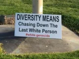 Diversity = White Genocide