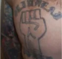 Aryan Fist